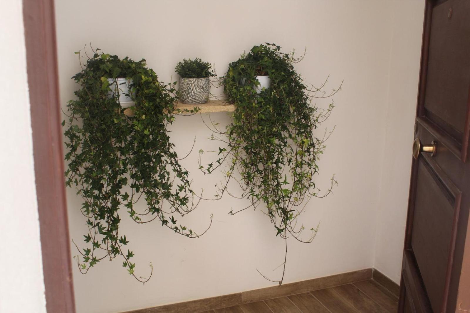 Annale Appartement Marsala Buitenkant foto